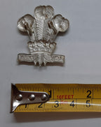 RRW Hat Badge British Army Royal Regiment of Wales ICH DIEN 3 Feathers Insignia