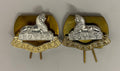 Royal Anglian Regiment 2nd Battalion Egypt Talavera Collar Dogs- New