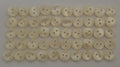 50 Vintage Buttons 2 Hole Shirt / Shank Anchors Pearlesque Cream 8.9mm old Stock