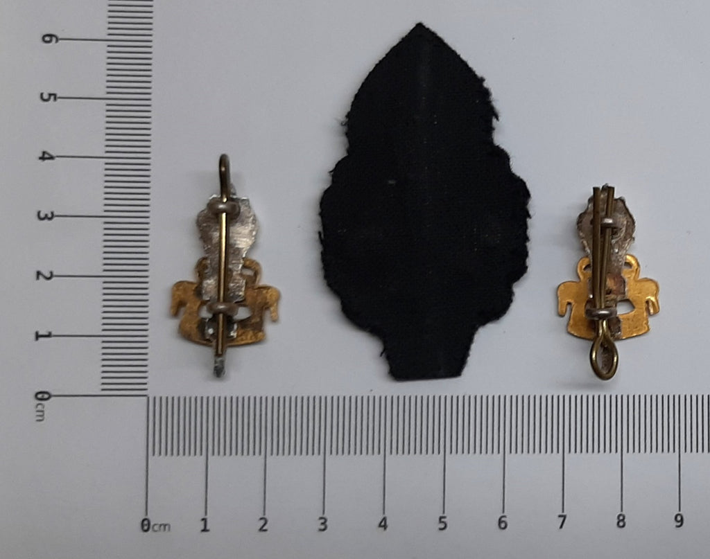 RAEC Hat / Cap Badge and Collar Badges Hand Embroidered Vintage