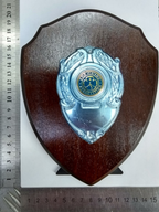 The Guide Association Wooden Shield Plaque with Metal Badge made in 1995