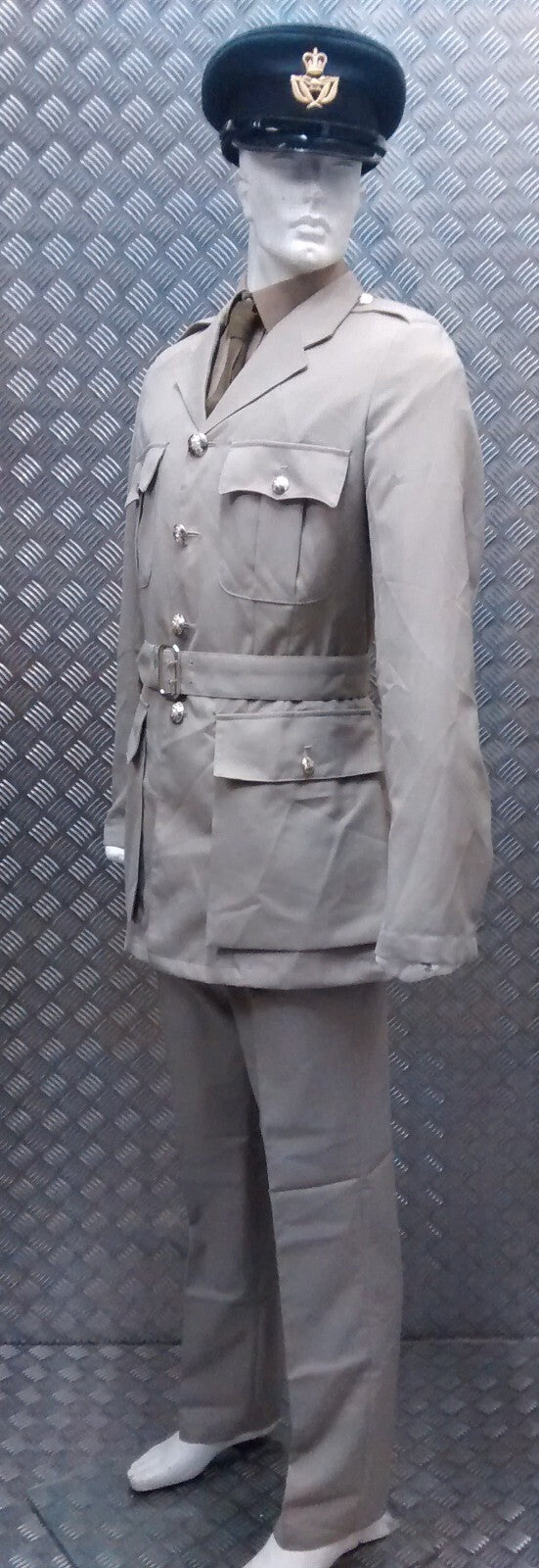 No4 No6 Tropical Safari Stone Suit WO Dress NEW