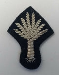 Genuine British Mess Dress Wire Braided Welsh Leak Silver Badge