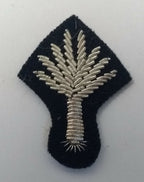 Genuine British Mess Dress Wire Braided Welsh Leak Silver Badge
