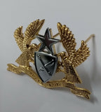 Genuine Obsolete Ghana ARMY Issue Coat of Arms Insignia Metal Badge
