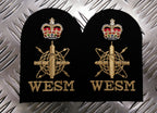 Royal Navy Embroidered Assorted Branch Qualification RN Badge / Patch