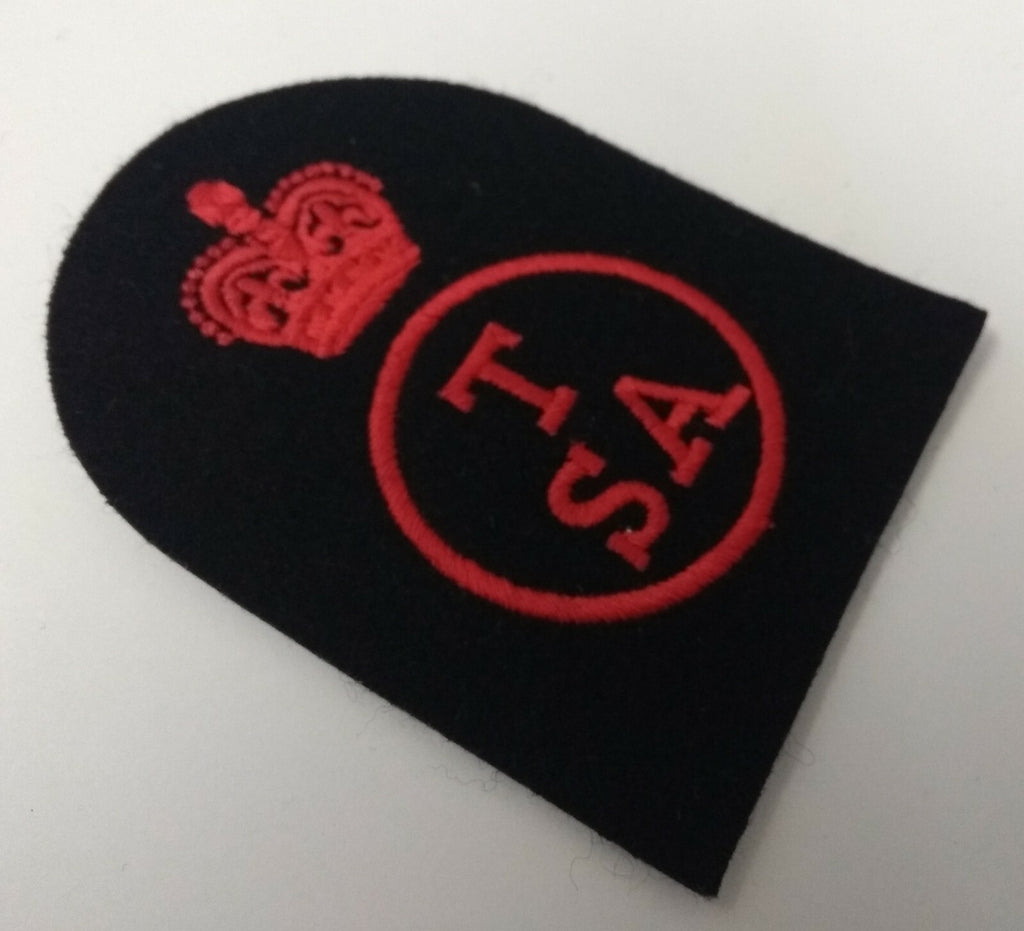 RN Training Support Assistant Vintage Embroidered Patch / Badge New Old Stock