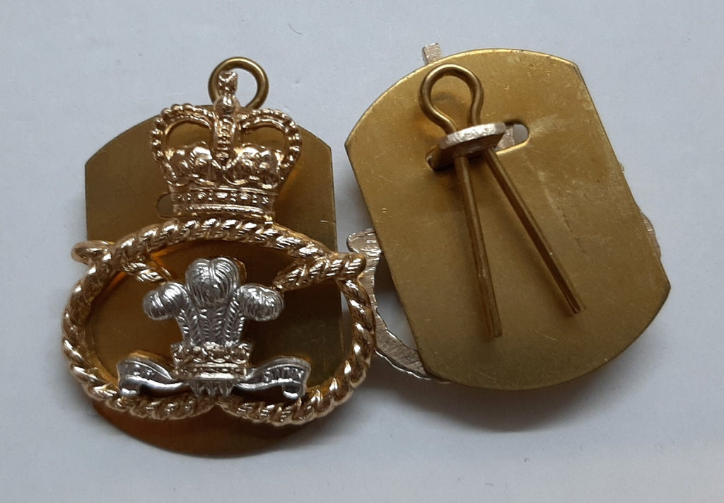 The Staffordshire Regiment Old Pattern Collar Dogs and Split Pins