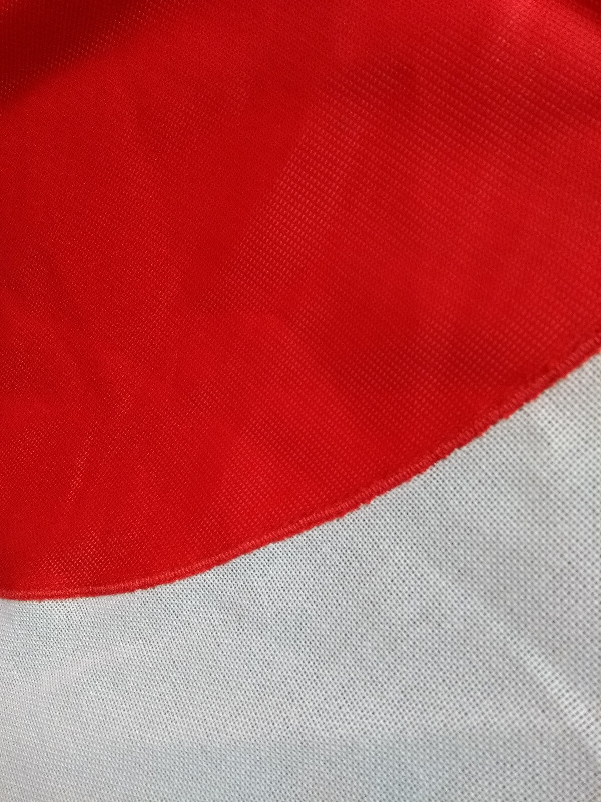 Japan Flag 34" x 70" / 86cm x 178cm Wall Art Country Flag Sport Clubs Bars
