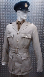 No4 No6 Tropical Safari Stone Suit WO Dress NEW