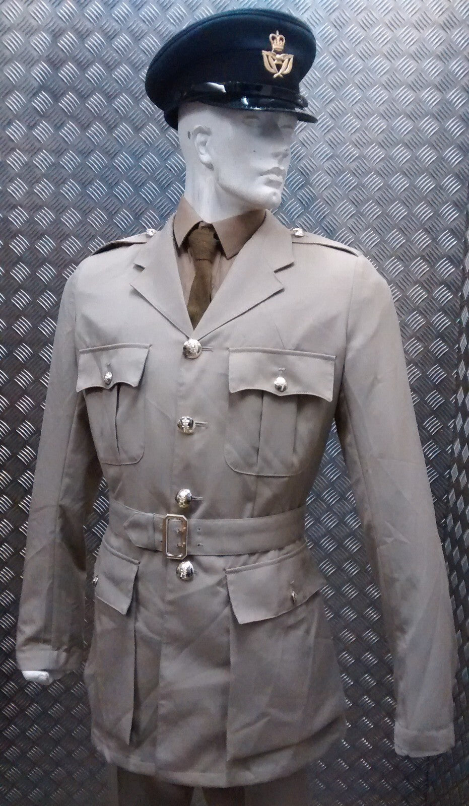 No4 No6 Tropical Safari Stone Suit WO Dress NEW