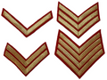 Stripe Service Chevron Bar Lace Gold on Red Felt Various Ranks British