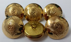 Genuine British Army Issue The Band of The Dragoon Guards Gilt Dress Buttons 40L