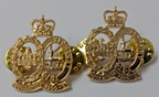 British Army Hertfordshire & Bedfordshire Yeomanry Battery 100 Regiment RA (V) Collar Dogs