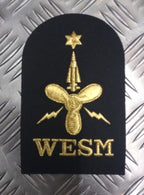 Royal Navy Embroidered Assorted Branch Qualification RN Badge / Patch NEW