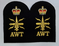Royal Navy Above Water Tactical AWT Embroidered Black & Gold Qualification Patch