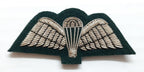 Para Wings British Silver on Green Backing Mess Kit Insignia
