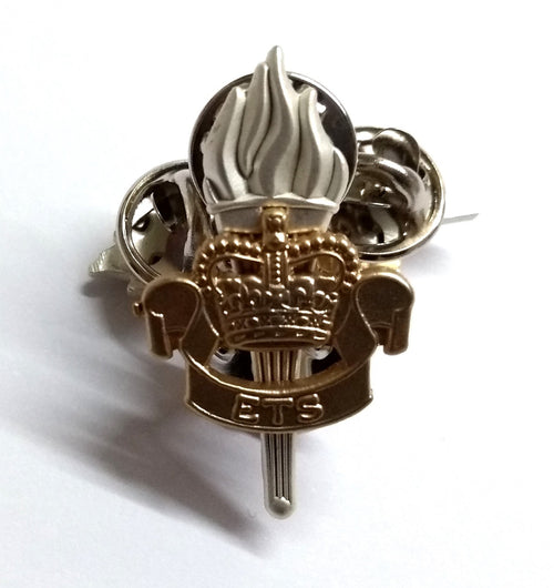AGC Collar Dogs Army Metal Badges ETS Educational and Training Services