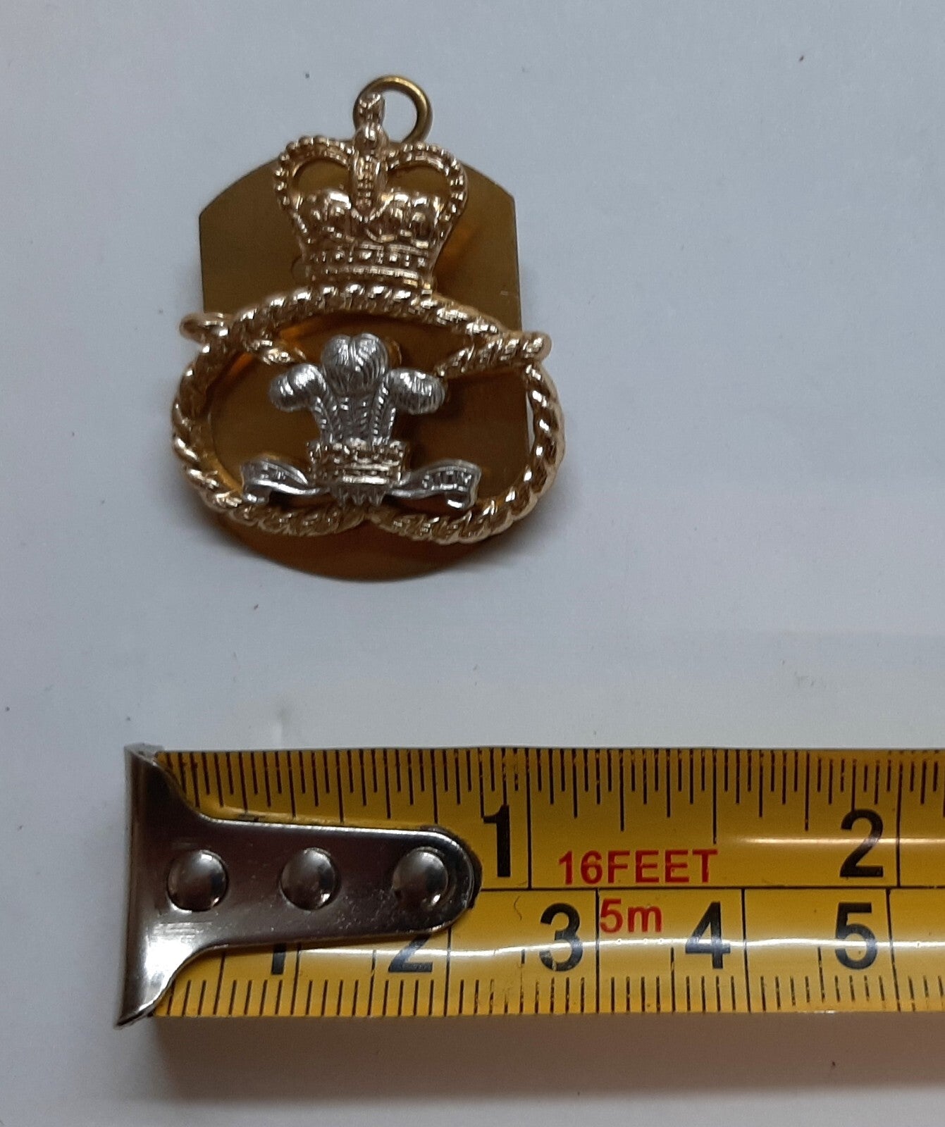 The Staffordshire Regiment Old Pattern Collar Dogs and Split Pins