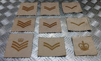 Rank Badges Army Green / Desert OD / DS Subdued Assorted Ranks 1 Pair