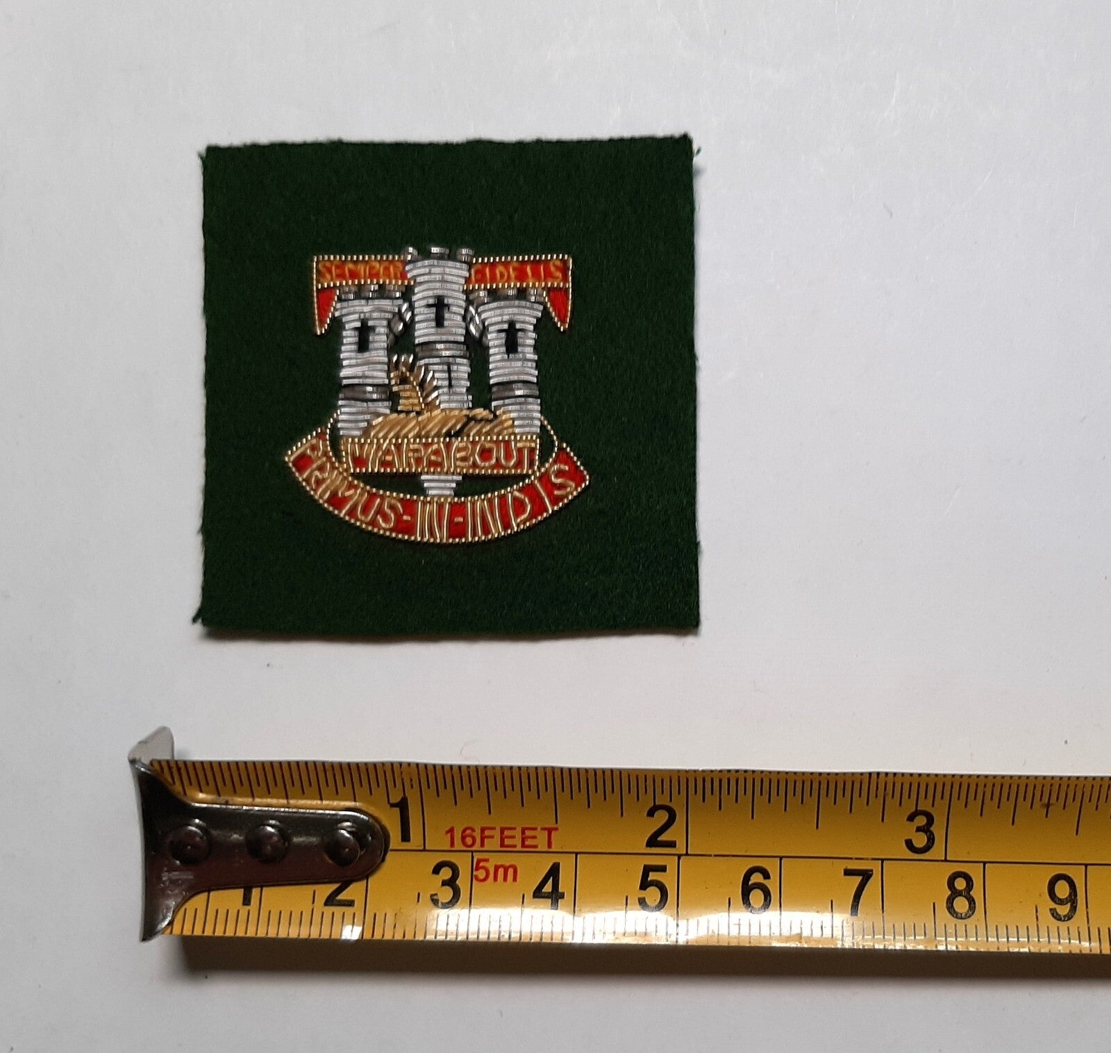Devonshire & Dorset British Army Regiment Hand Embroidered Insignia Patch