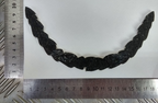 Silver Wire Oakleaf Applique Scrambled Egg Braid Garnish Cap Peak British Made
