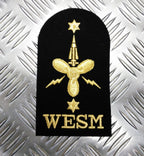 Royal Navy Embroidered Assorted Branch Qualification RN Badge / Patch