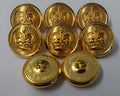 Royal Crown Buttons British Issue 36L With Lined Background X8 ASBT239