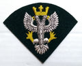 Mercian Hand Embroidered Insignia Badge British Army Regimental Wire Patch