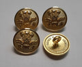 RWF Insignia Buttons British Army The Royal Welch Fusiliers Pockets / Cuffs 24L