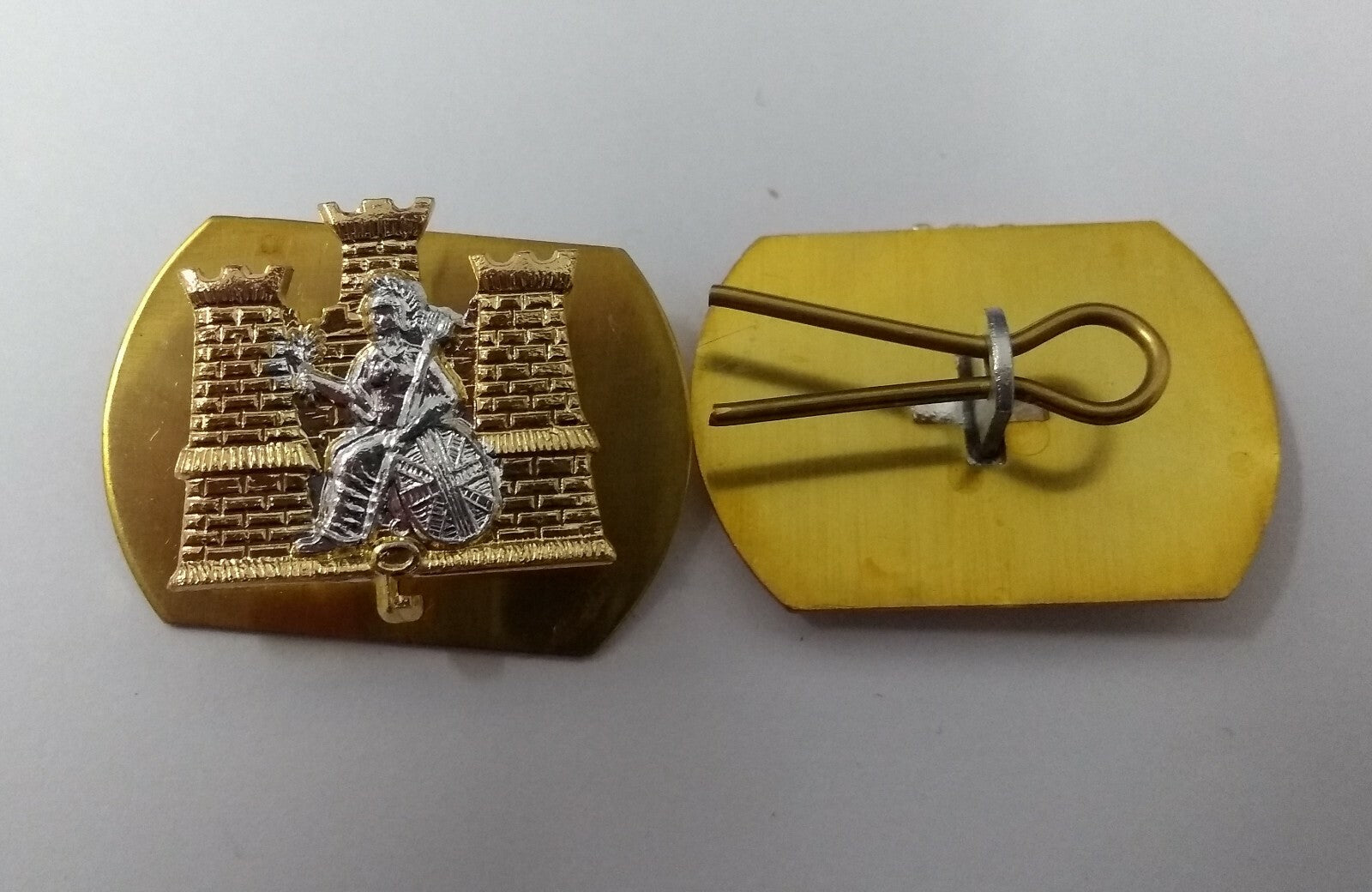 1st East Anglian Battalion Collar Dogs - Brand New