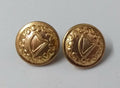 Vintage Irish Harp Shank Buttons x 2 ASBT196