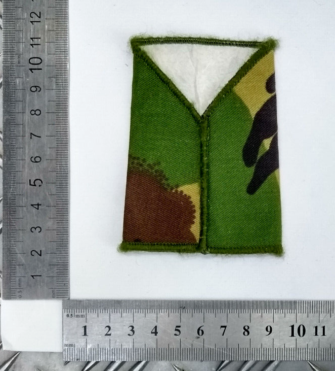 Woodland DPM Adjutant General's Corps AGC RQMS Rank Slide