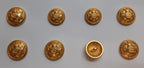 RAChD Buttons 22L X8 Small British Royal Army Chaplains' Department Insignia
