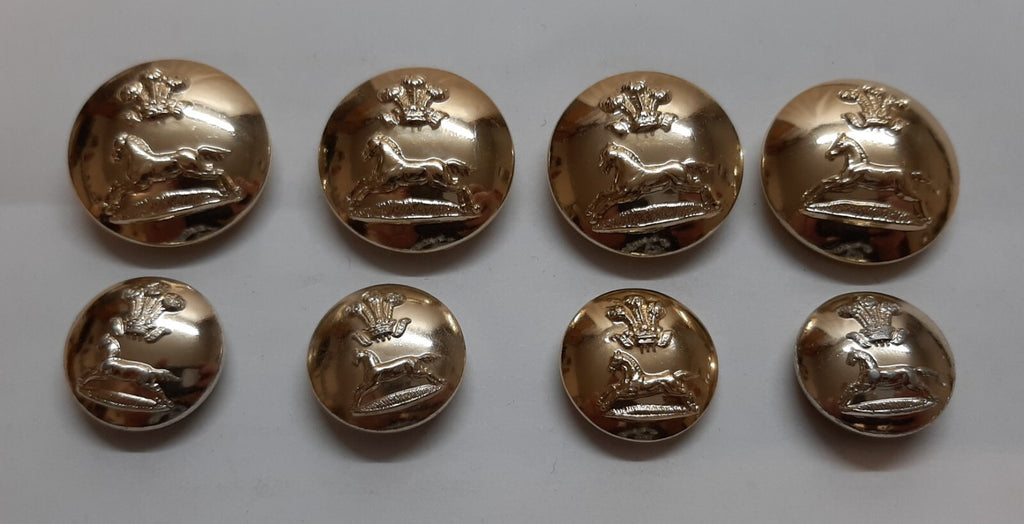 No2 Dress Button Set Officer Rank Prince of Wales Own Regiment of Yorkshire