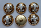 Duke of Lancaster Regimental Mounted Dress Button Set X6 British Army Insignia
