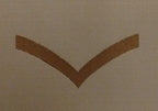 Rank Badges Army Green / Desert OD / DS Subdued Assorted Ranks 1 Pair New