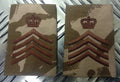 Genuine British Army Desert Camo DRUM MAJOR Rank Slides / Epaulettes - NEW