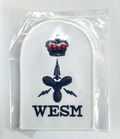 Naval CPO WESM Patch RN Type Chief Petty OFC (WESM) Qualification Badge NEW