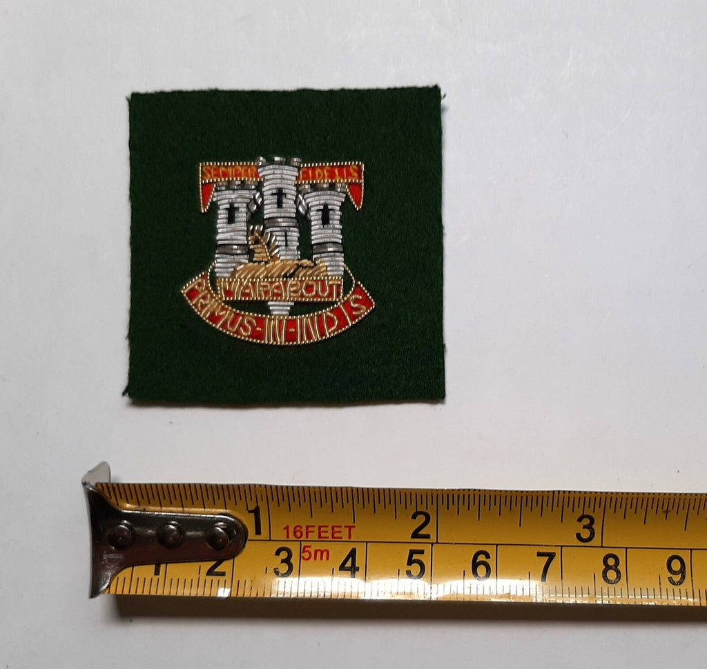 Devonshire & Dorset British Army Regiment Hand Embroidered Insignia Patch