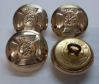 DERR Duke of Edinburgh's Royal Regiment British Army Insignia Buttons Large X4