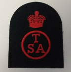 RN Training Support Assistant Vintage  Embroidered Patch / Badge New Old Stock
