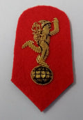 Genuine British Army Royal Corps of Signals Regiment Wire Braided Badge