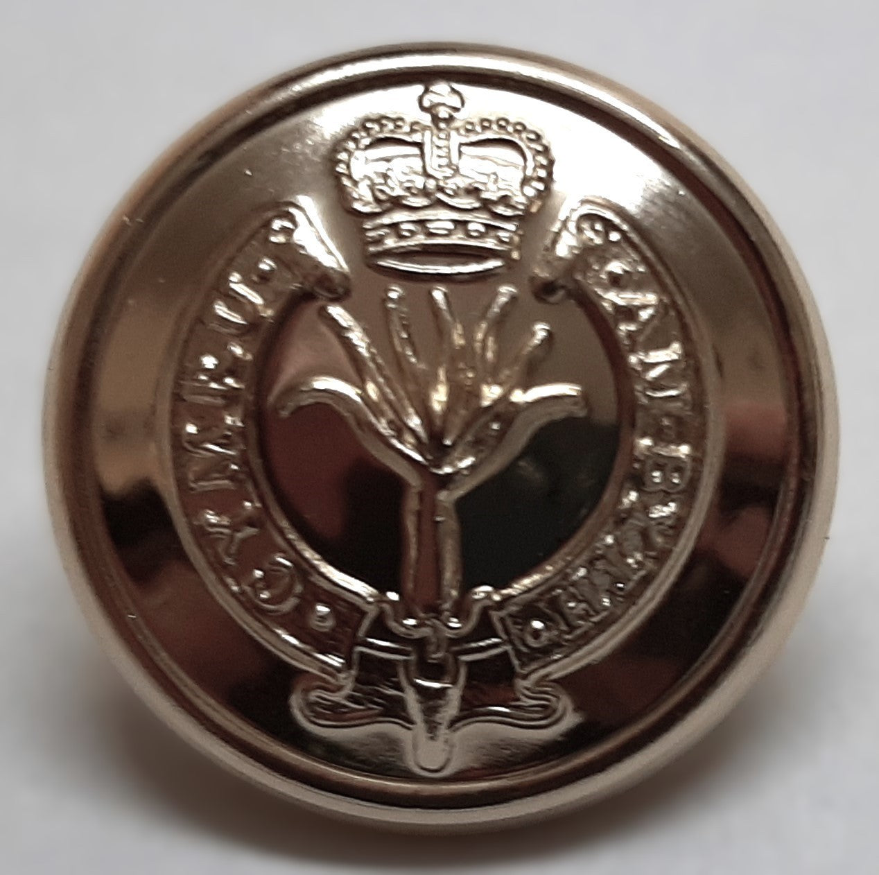 British Army Welsh Button Set No2 Dress FAD Jacket Welsh Leak