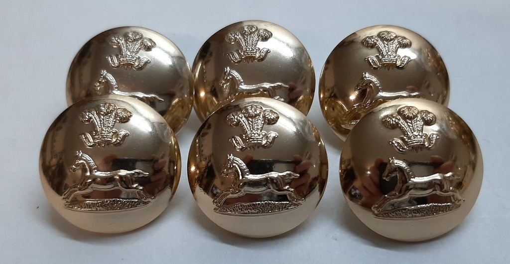 Large Army Buttons Rank Prince of Wales Own Regiment of Yorkshire Insignia X6
