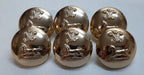 Large Army Buttons Rank Prince of Wales Own Regiment of Yorkshire Insignia X6