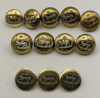 Royal Anglian Mounted Buttons Mixed Sizes and Types set of 12