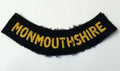 Vintage & Civil Defence Monmouthshire Shoulder Flash