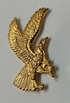 Collectors Metal Pin Eagle Badge With 5 Point Star NEW GIM52XR