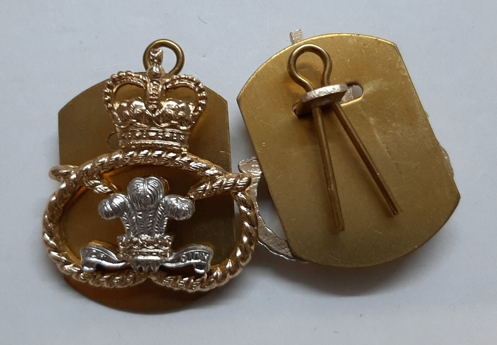 The Staffordshire Regiment Old Pattern Collar Dogs and Split Pins